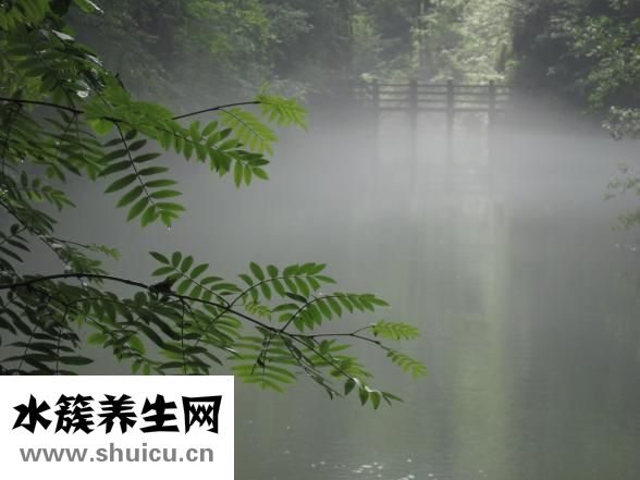 表里有水雾怎么办