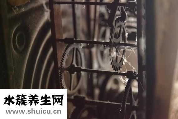 新鲜的海鲜怎么保存