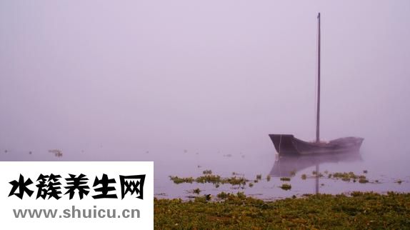 表里有水雾怎么办