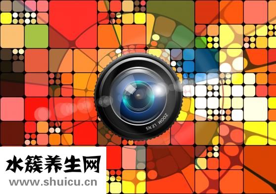 小葱鸡蛋汤怎么做