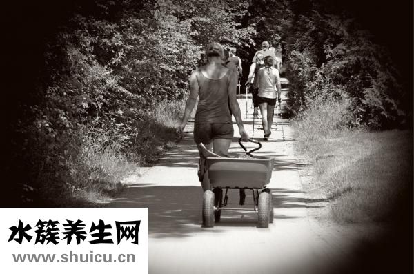 狗狗怀孕了怎么办
