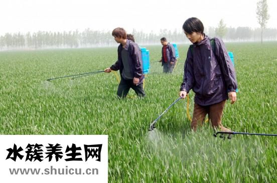 翡翠佛怎么开光