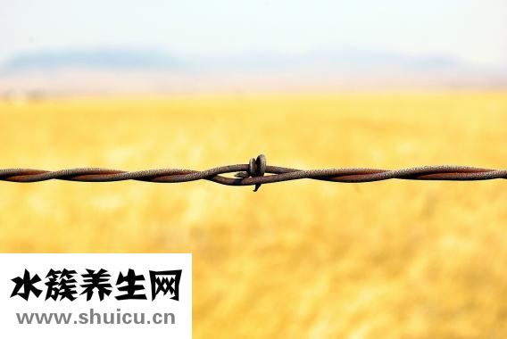 慢回弹记忆枕怎么用