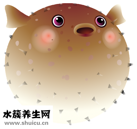 鱼缸水绿了怎么办