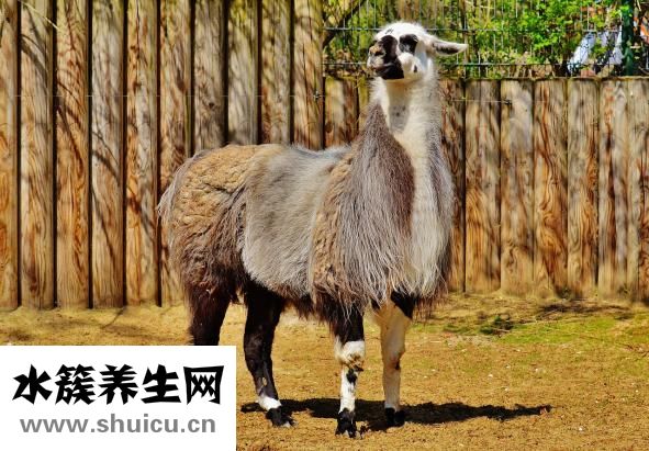 淘宝怎么发布团购