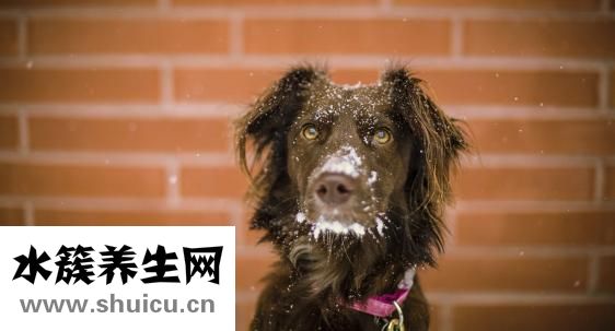 眼睛针眼怎么办