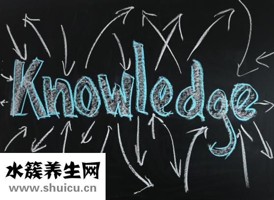 家有脑瘫孩子怎么办