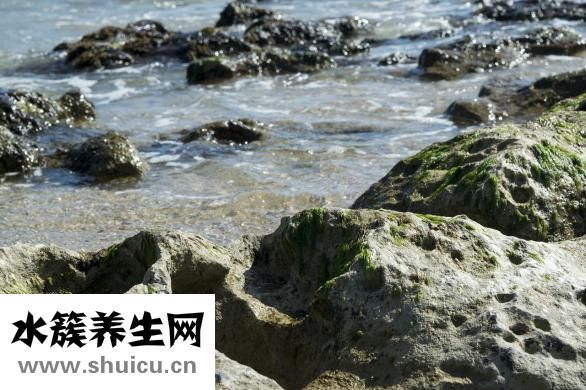 宝宝洗澡怕水怎么办