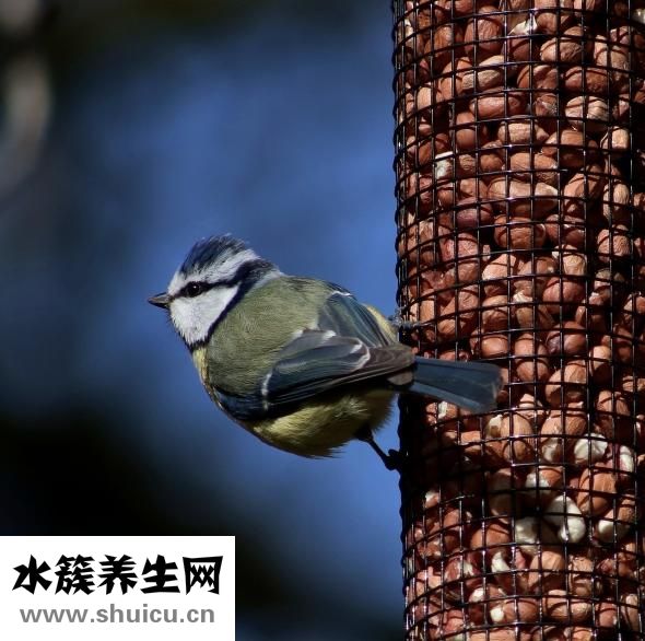 川菜香辣油怎么炼制