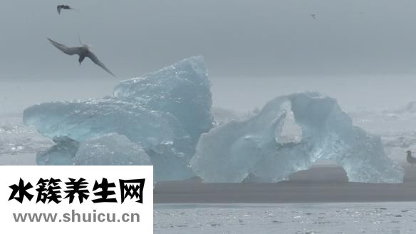 赵宏利的号子怎么挂