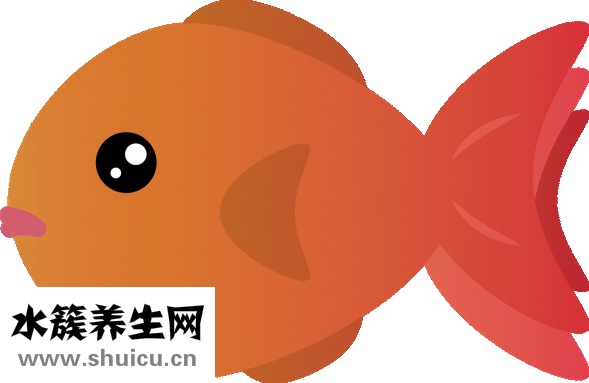 鱼缸水绿了怎么办