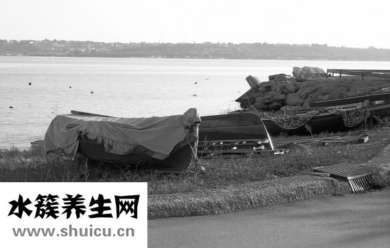 背心凉怎么办