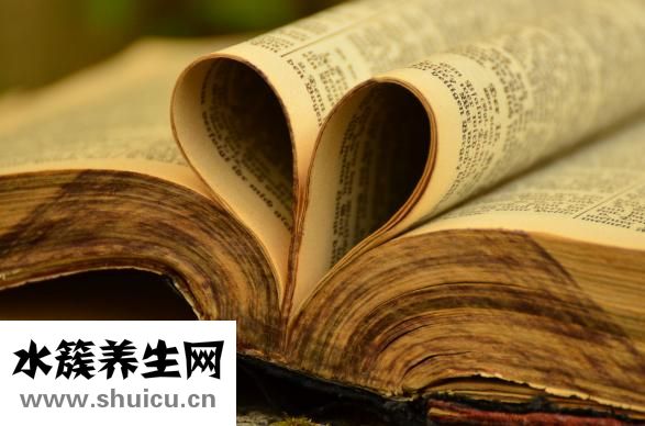 霍香叶怎么吃法