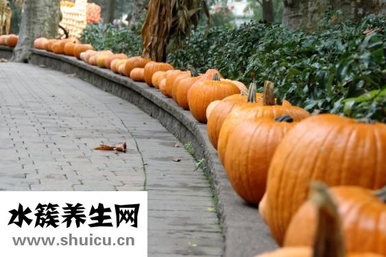 怎么炖冬瓜