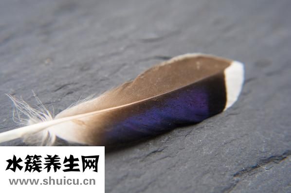 蓝黑色头发怎么做