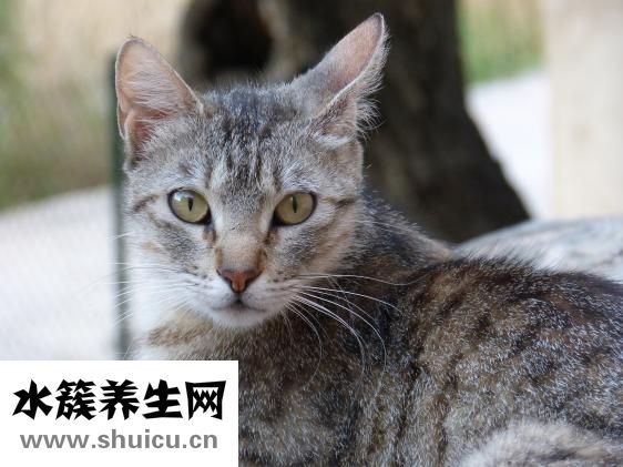 贝儿怎么总眨眼睛