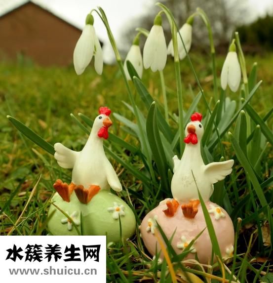 微波炉煮蛋器怎么用