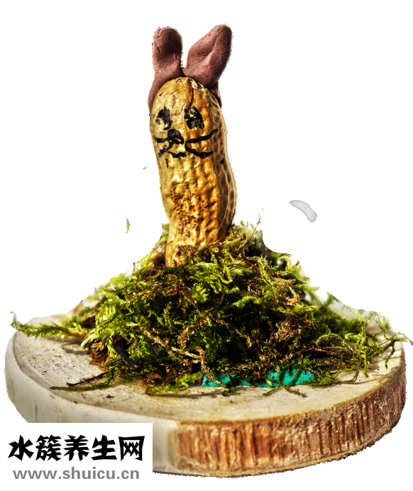 同学们用英语怎么说