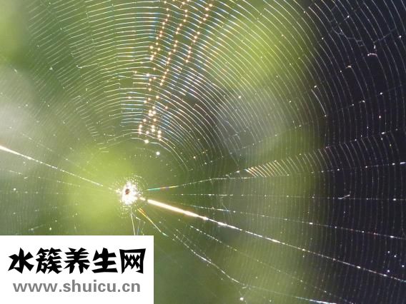 闭口是什么怎么去掉