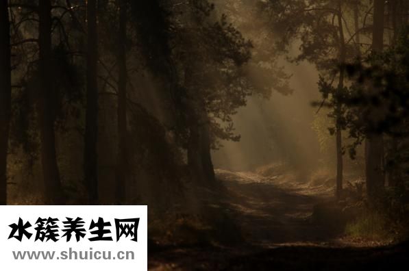天太热睡不着怎么办