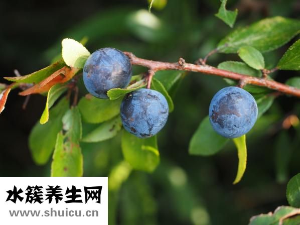 蓝黑色头发怎么做