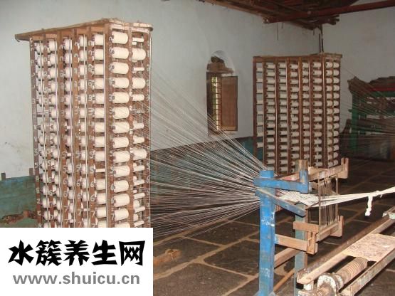 欧豪怎么出名的