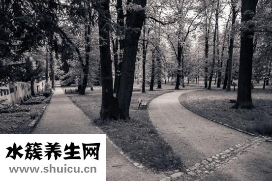 备孕紧张怎么放松