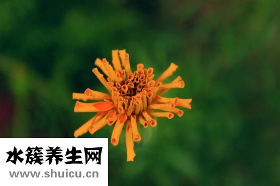 夏天婴儿怎么