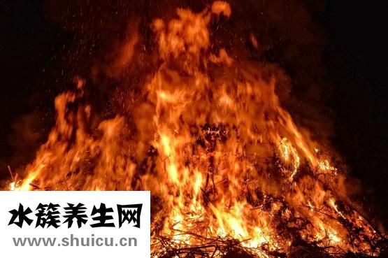 豆豉怎么使用
