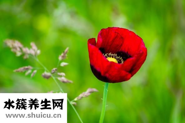 怎么培养正气