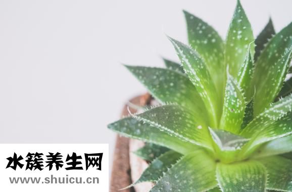 天生眼皮厚怎么变薄