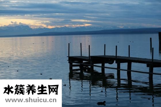 黄金耳怎么吃