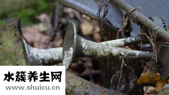 牛角怎么保养