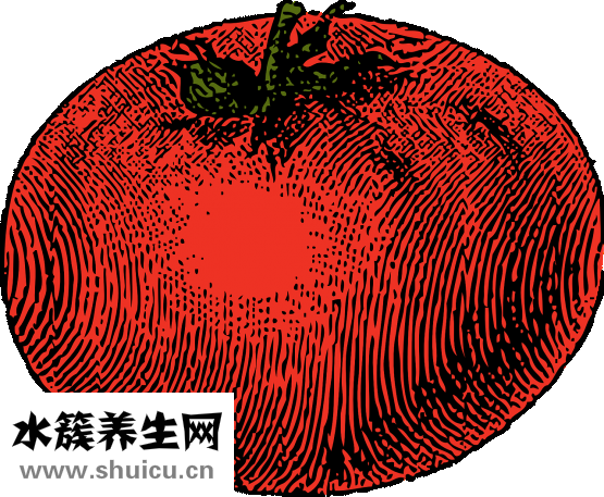 番茄玫瑰花怎么做
