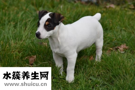 小孩出长气怎么回事