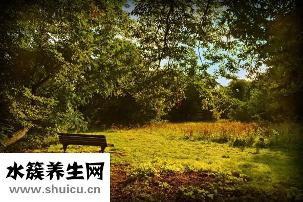 朋友结婚怎么办