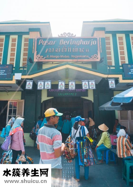 热带鱼十间怎么养