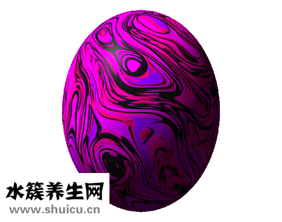 微波炉煮蛋器怎么用