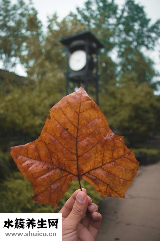 约会综合症怎么办
