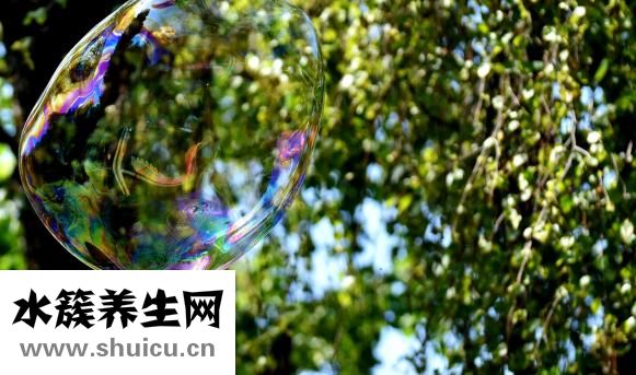 宝宝招蚊子咬怎么办