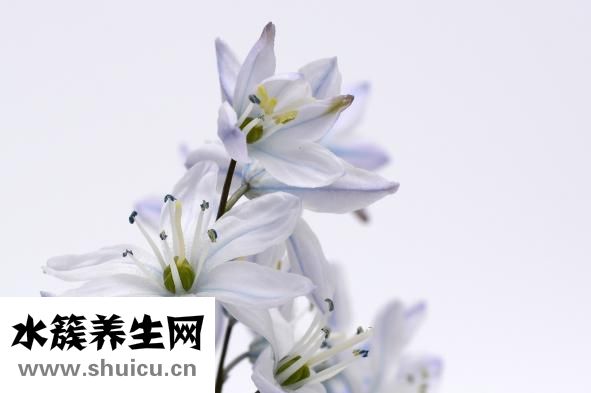 未婚生子怎么办