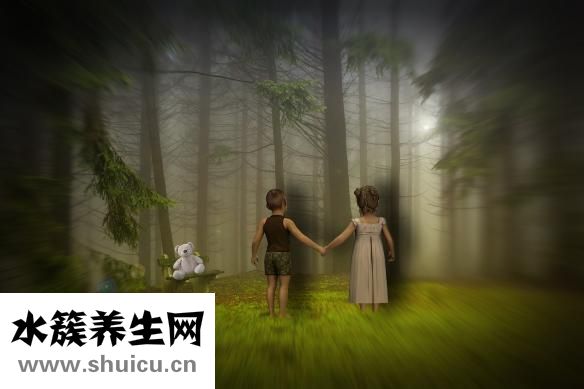 泰迪发烧了怎么办