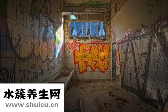 回家吃饭怎么不能看