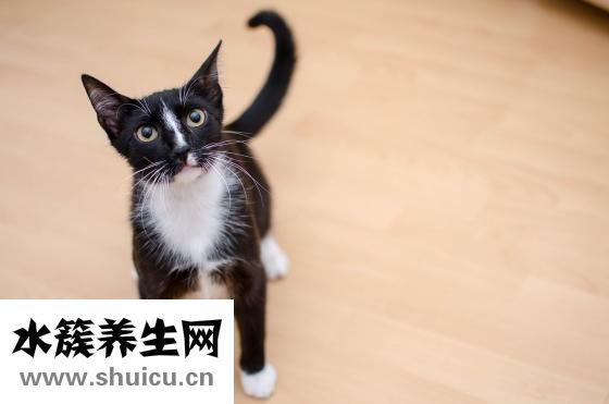 阿瞳怎么辨别真伪