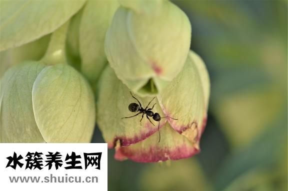 怎么找中枢