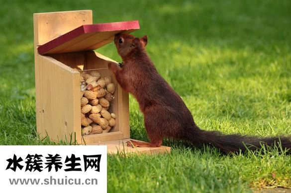 同学们用英语怎么说
