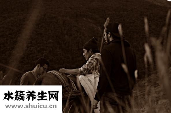 糗百怎么审核