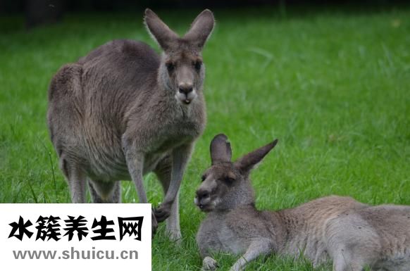 夏天婴儿怎么