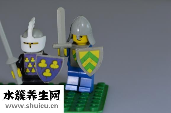乐高玩具怎么玩