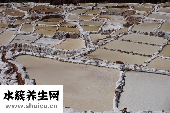 怎么处理蚊子
